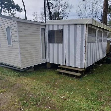 Mobile 148, Bois Dormant